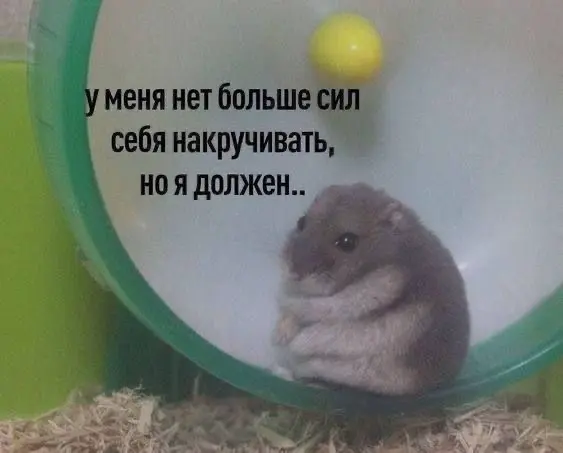 Вера в себя | Сетка — социальная сеть от hh.ru