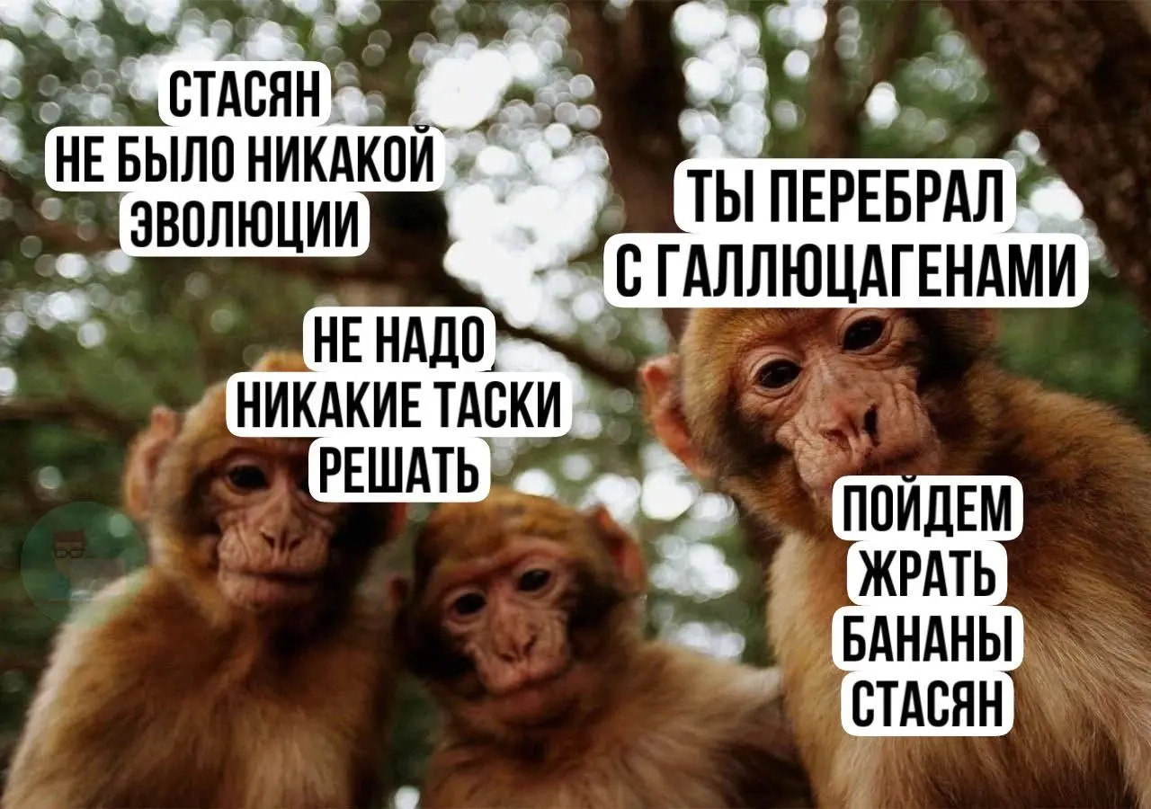 #IT
😂 ПМ 🛍 Другие каналы
В этом посте были ссылки, но мы их удалили по правилам Сетки | Сетка — социальная сеть от hh.ru