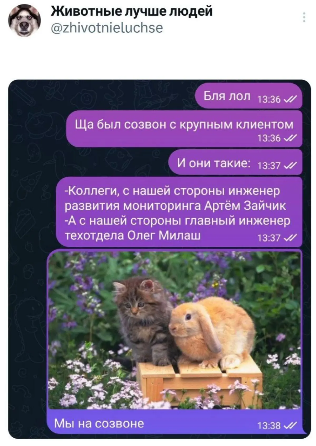 Как два одиночества, которые встретились среди ночи в Гугл Докс 😹 | Сетка — социальная сеть от hh.ru