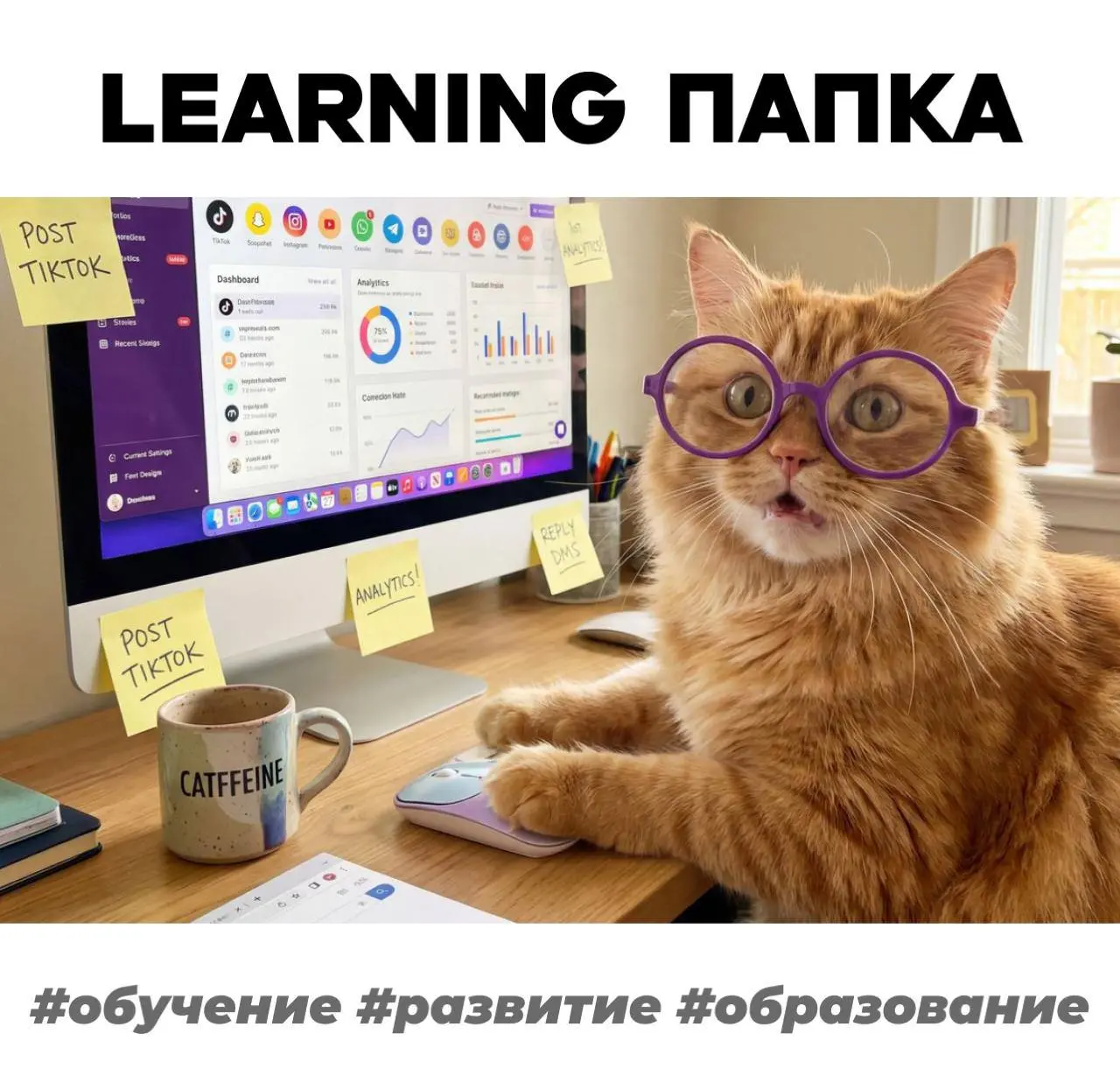 Тг-отдел обучения
Коллеги, собрали подборку каналов про обучение, развитие и образование, с полезными материалами и живыми профессиональными разговорами
Здесь есть каналы про:
⭐️карьеру и профессию в ... | Сетка — социальная сеть от hh.ru
