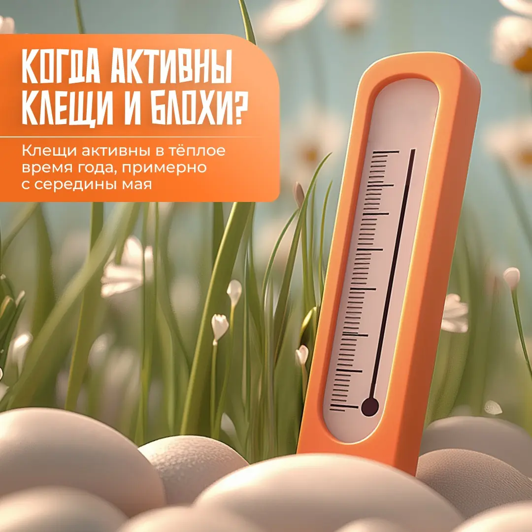 Рекламные креативы в формате мультяшного интерактива 💫 | Сетка — социальная сеть от hh.ru