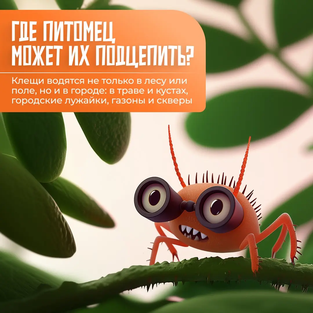 Рекламные креативы в формате мультяшного интерактива 💫 | Сетка — социальная сеть от hh.ru