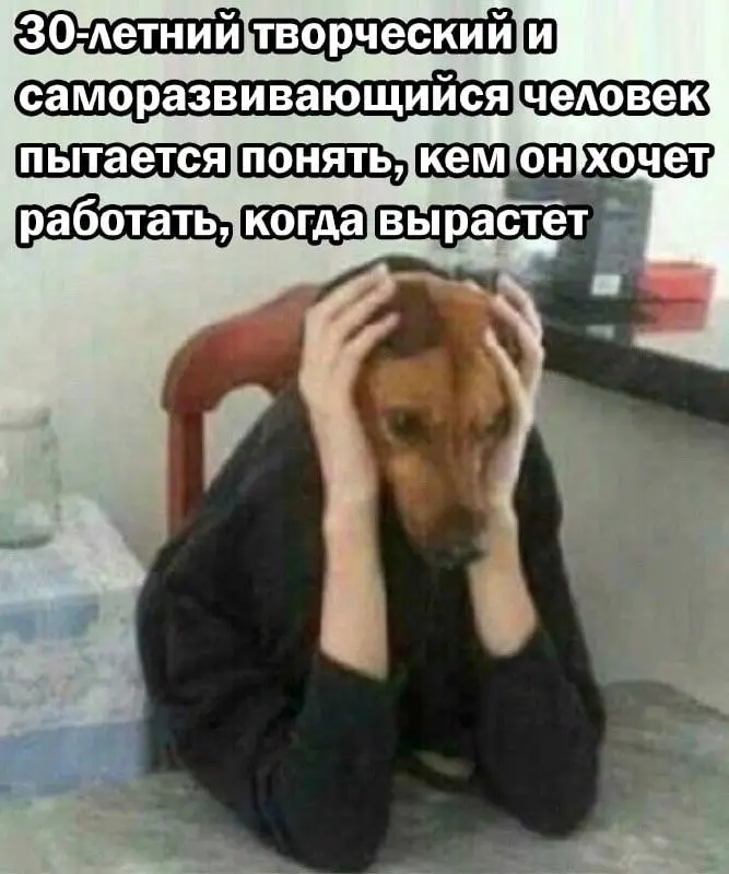 День 156
Вот бы еще пару часиков на безделье
🔤 смотрела сериал
🔤 учила слова в сове | Сетка — социальная сеть от hh.ru