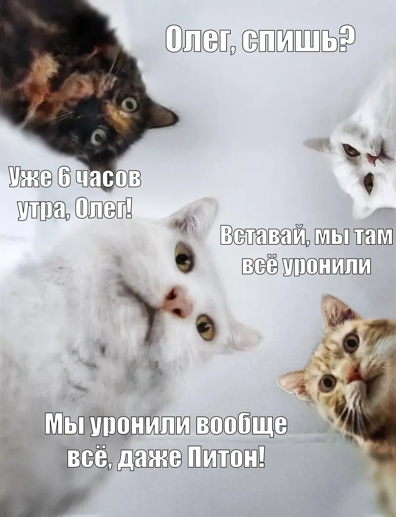 Python 4.0: Русская версия (Unreleased) 🇷🇺
Получил вот такой код на проверку в качестве ДЗ на одном из курсов. Прямо для рубрики "Почему я скоро сопьюсь" | Сетка — социальная сеть от hh.ru