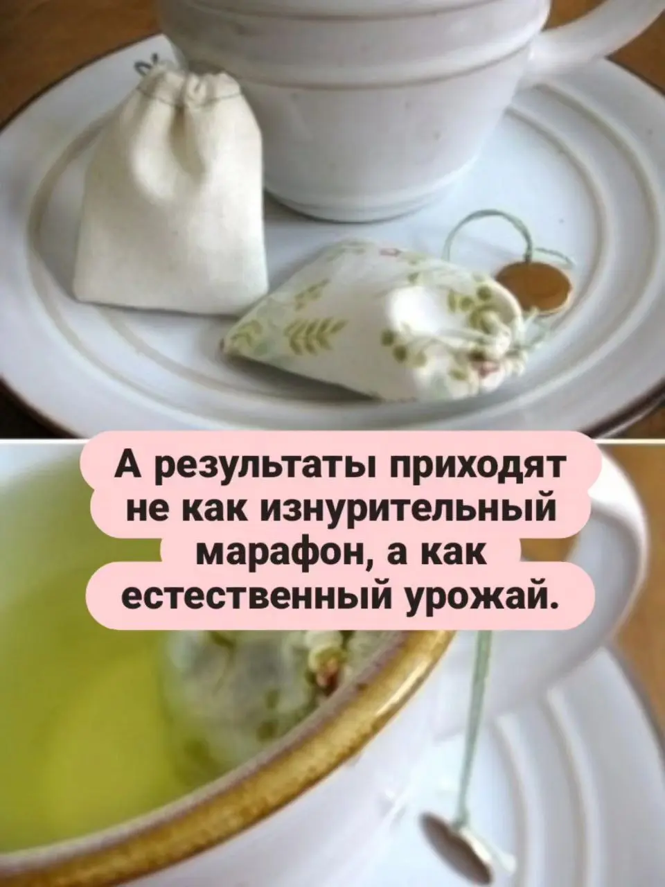 Экологичная продуктивность — это философия долгой игры.
Это отказ быть одноразовым человеком в мире одноразовых вещей | Сетка — социальная сеть от hh.ru