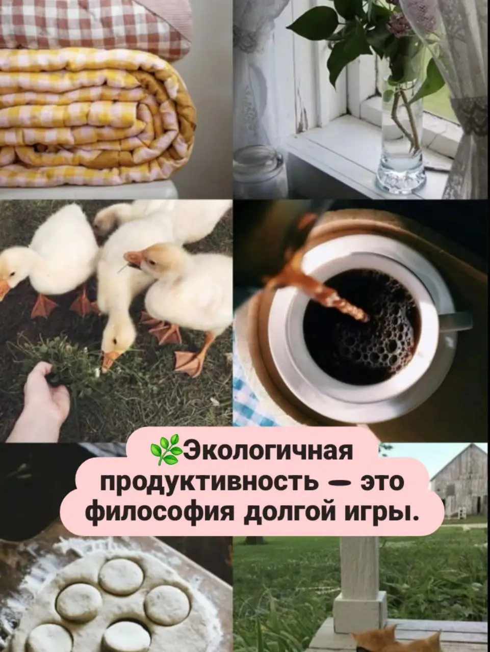 Экологичная продуктивность — это философия долгой игры.
Это отказ быть одноразовым человеком в мире одноразовых вещей | Сетка — социальная сеть от hh.ru