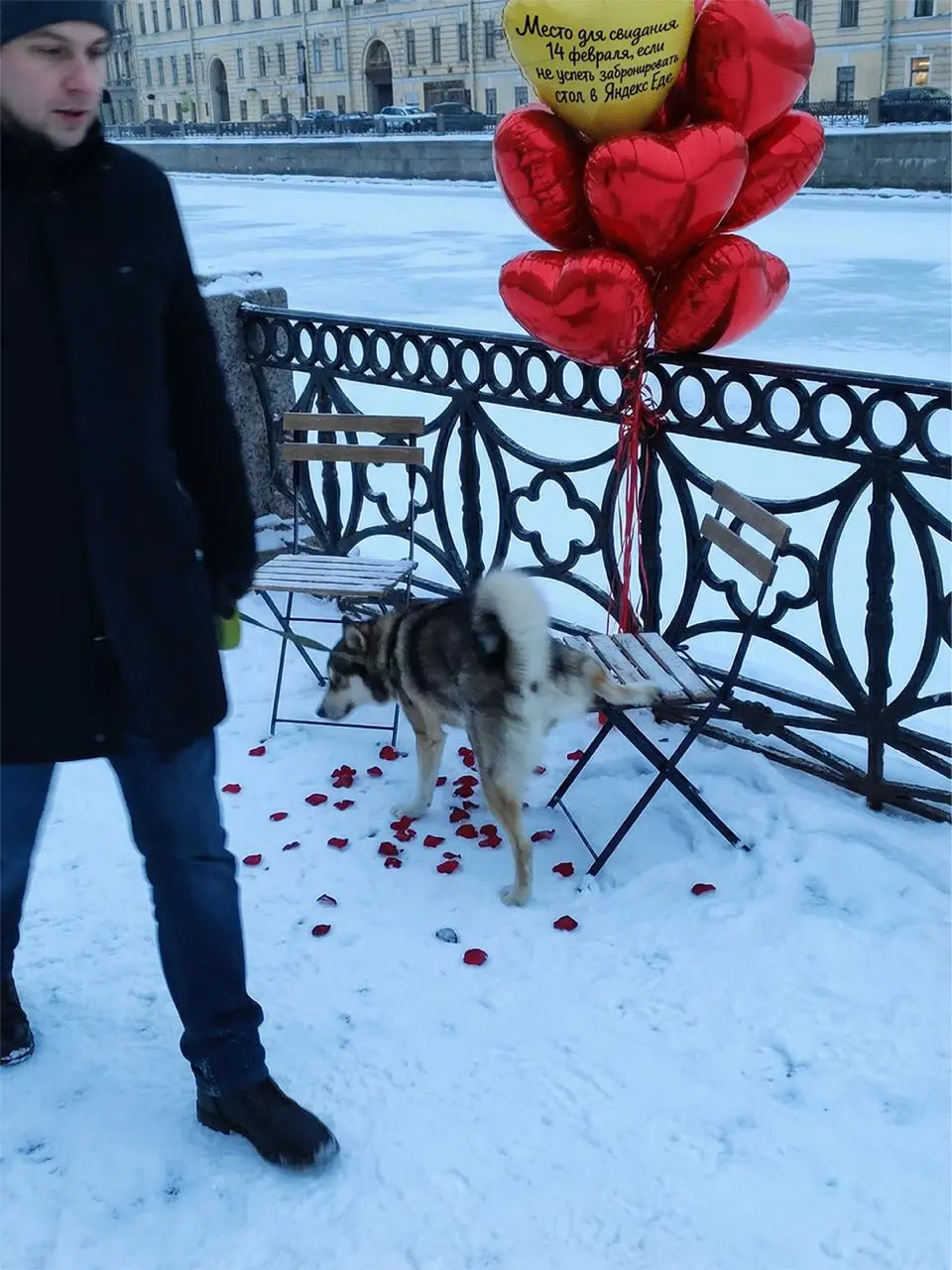 Места для свиданий в сугробах от Яндекс Еды.
В преддверии 14 февраля бренд развернул уличные инсталляции в Москве и Санкт-Петербурге: столы со скатертью, два стула, свечи, лепестки, связки шаров | Сетка — социальная сеть от hh.ru