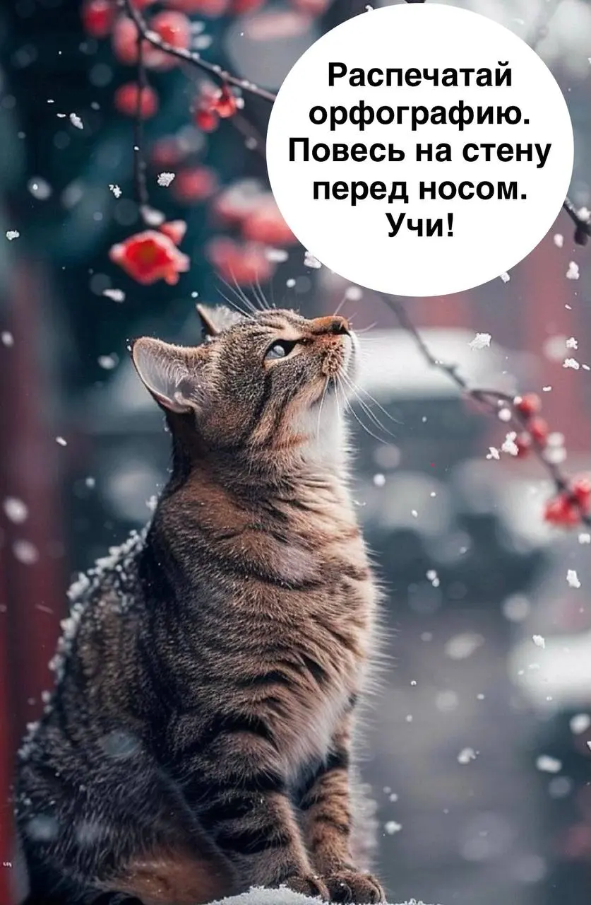 Писали Статград… Несмотря на задания из «Ежедневного обзвона» ( который, конечно, делают не все), есть ошибки по орфографии | Сетка — социальная сеть от hh.ru