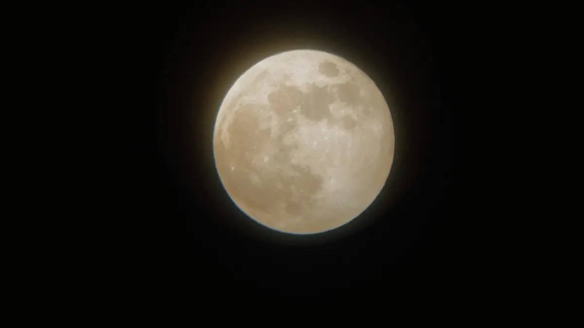Снежная луна 🌜 | Сетка — социальная сеть от hh.ru