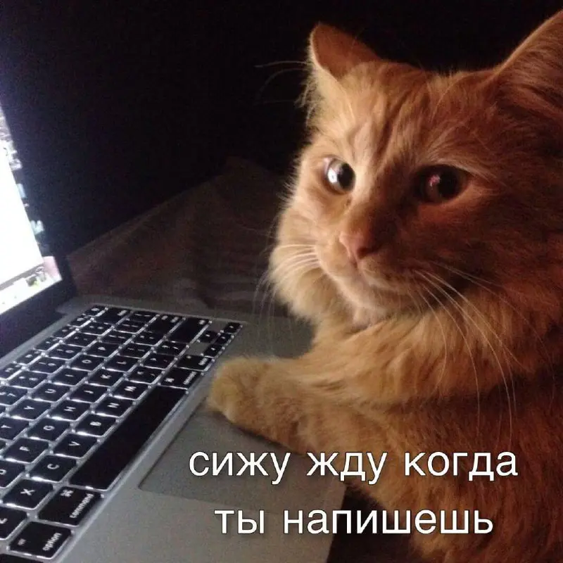 1С Разработчик с опытом Бит.Финанс | Senior
📍 Локация/гражданство: РФ
Стек и опыт:
— 1С 8.3 (управляемые формы)
— Интеграции: Web / HTTP / RMQ
— GitLab, хранилище конфигураций
— СКД, БСП
— 1С БП 3 | Сетка — социальная сеть от hh.ru