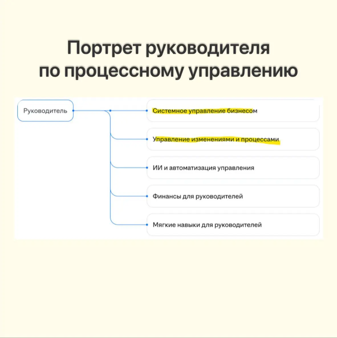 🤌🏼Портрет идеального руководителя по процессам | Сетка — социальная сеть от hh.ru