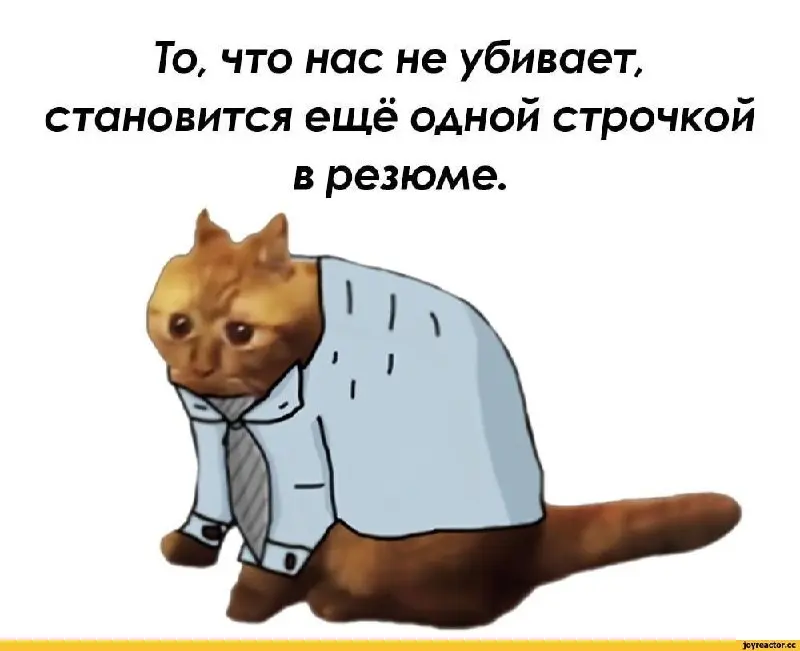 Настроение такое на самом деле | Сетка — социальная сеть от hh.ru