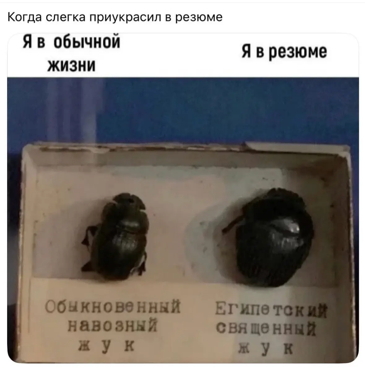 😁😁😁 | Сетка — социальная сеть от hh.ru