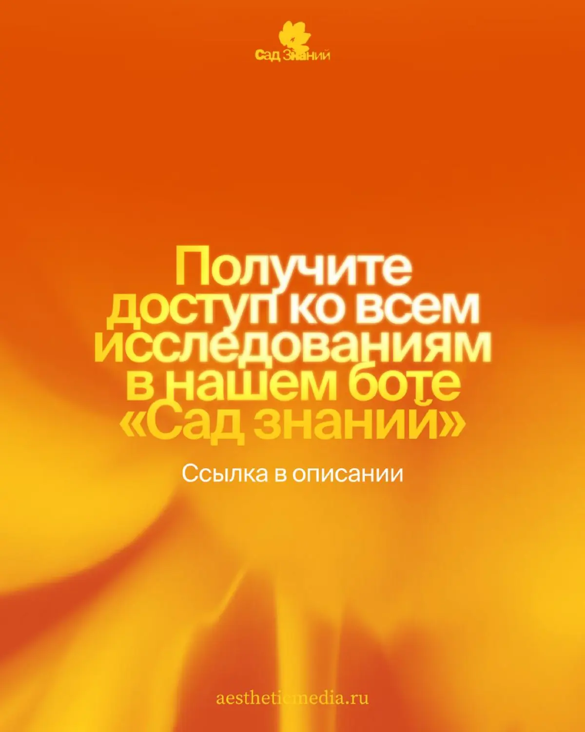 Тренды медиа и маркетинга 2026 в одной подборке 🌺 | Сетка — социальная сеть от hh.ru