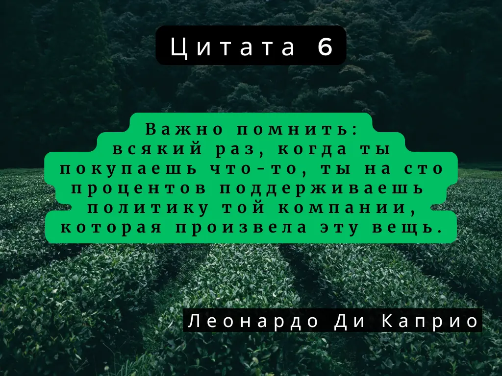 Цитаты о маркетинге | Сетка — социальная сеть от hh.ru