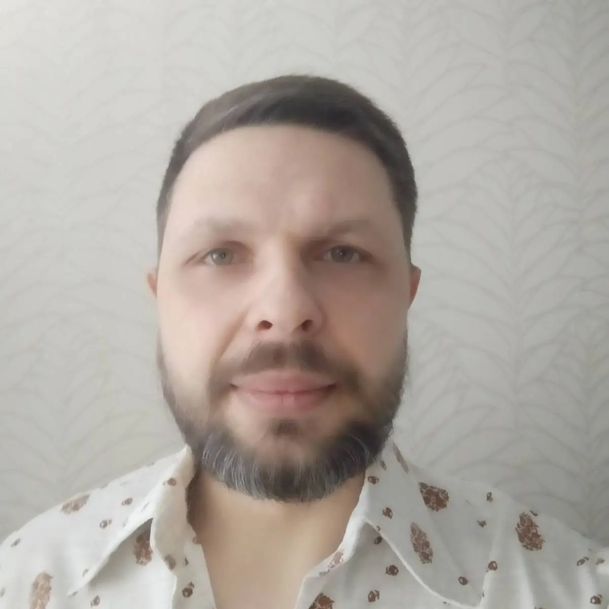 Иван Мамонтов | Сетка — социальная сеть от hh.ru