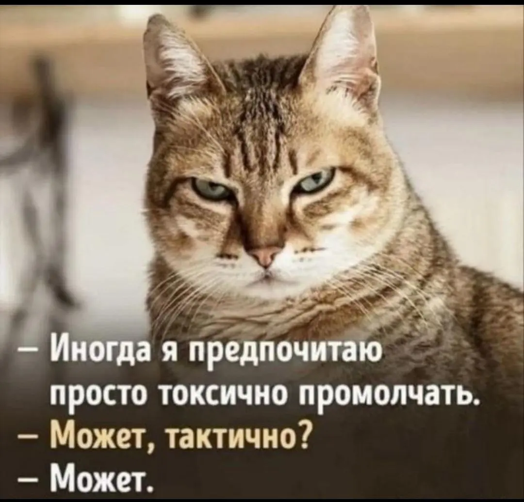 Самый частый запрос закупщику: «Приведите нам аудиторию».
Окей. А куда?😅
Половина проектов не готовы к рекламе вообще. И, к сожалению, мы вынуждены отказывать в сотрудничестве | Сетка — социальная сеть от hh.ru