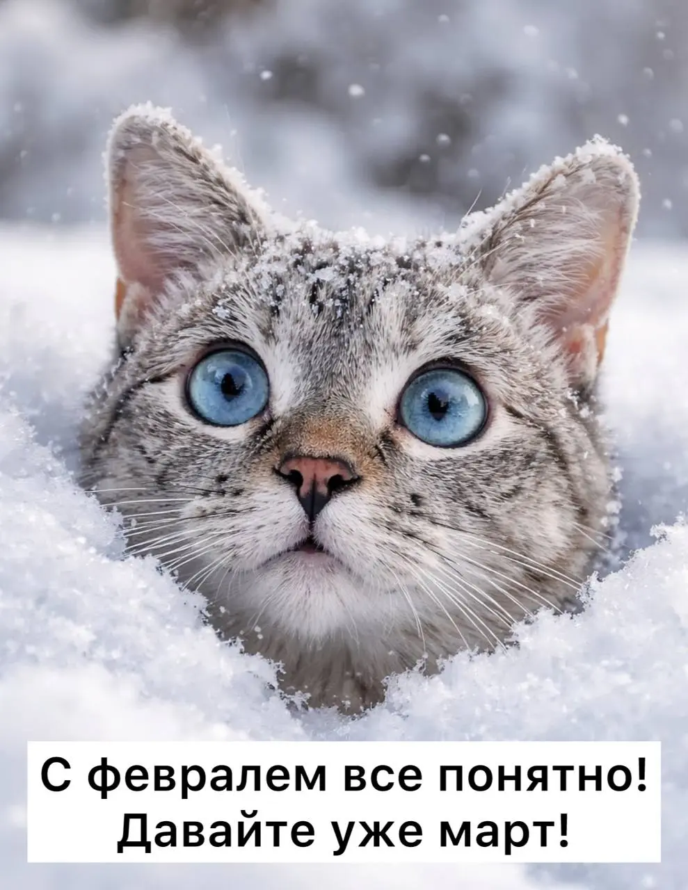 Доброе утро пятницы!! Как вы?
Я надеюсь неделя прошла плодотворно? Отличного вам её завершения ❤️ | Сетка — социальная сеть от hh.ru