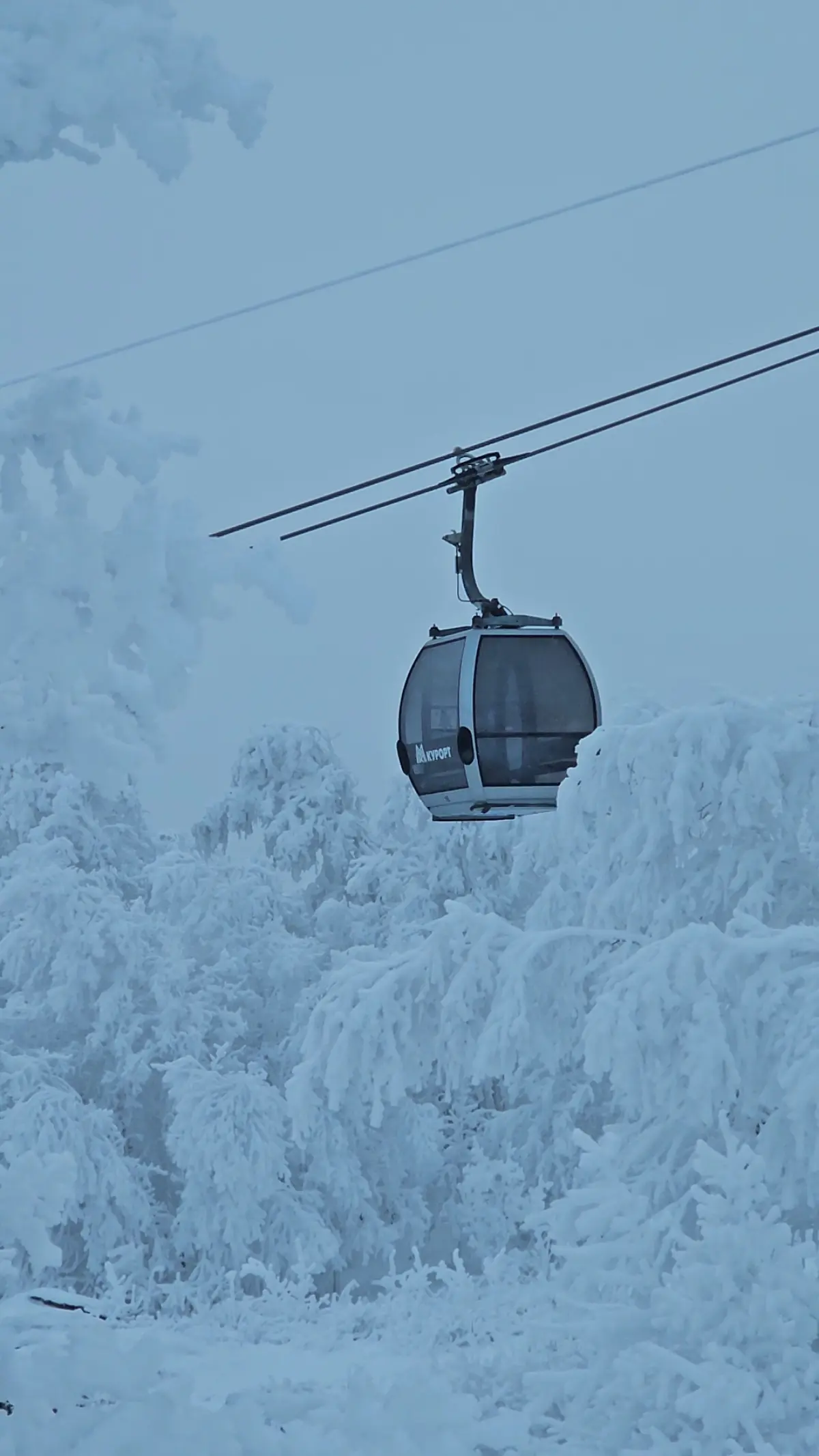 Просто не много отпуска ⛷️🥽 | Сетка — социальная сеть от hh.ru