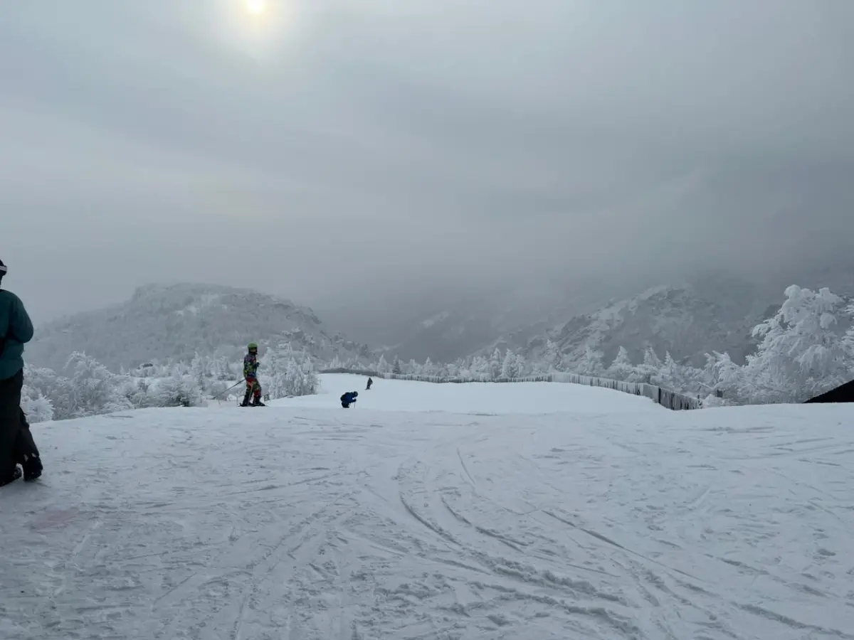 Просто не много отпуска ⛷️🥽 | Сетка — социальная сеть от hh.ru