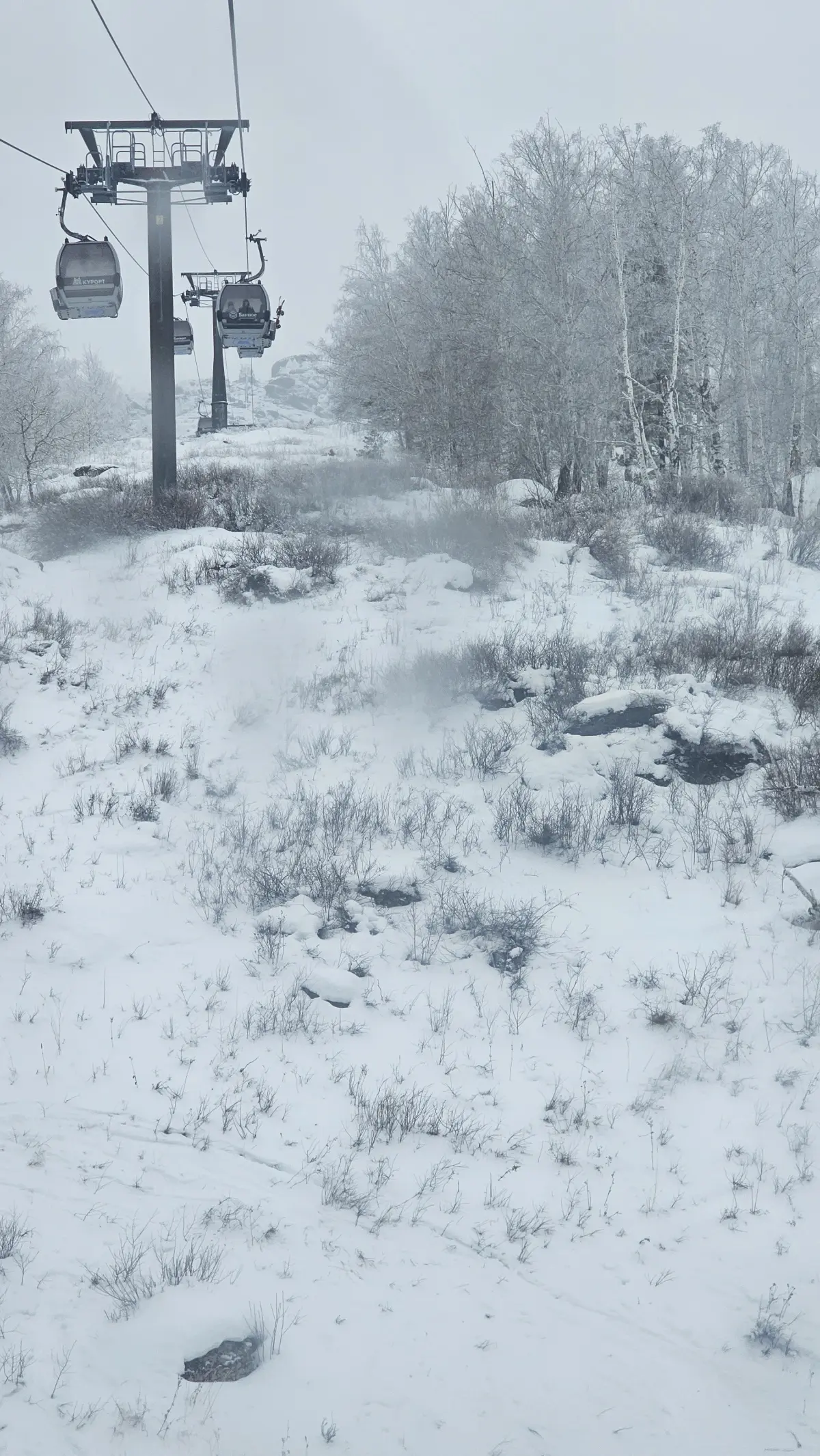 Просто не много отпуска ⛷️🥽 | Сетка — социальная сеть от hh.ru