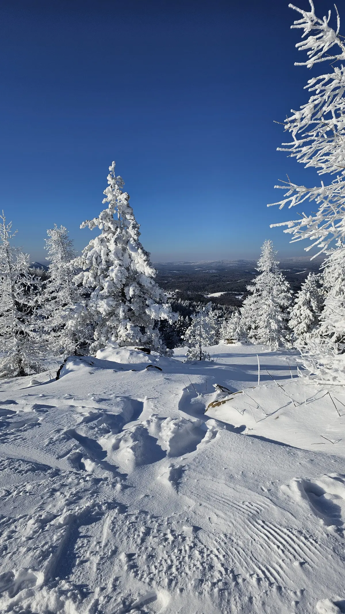 Просто не много отпуска ⛷️🥽 | Сетка — социальная сеть от hh.ru