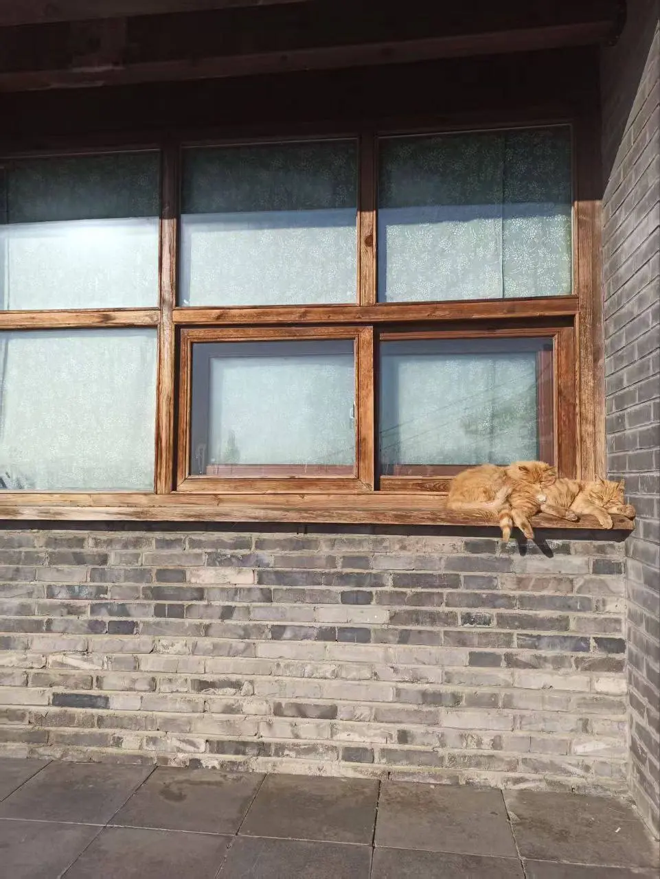 Стажировка · январь 2026 🇨🇳
Пока вы видите фотографии с Великой Китайской стены, Губэя и Запретного города, за кадром происходит главное — повышение квалификации наших педагогов и участников стажировк... | Сетка — социальная сеть от hh.ru