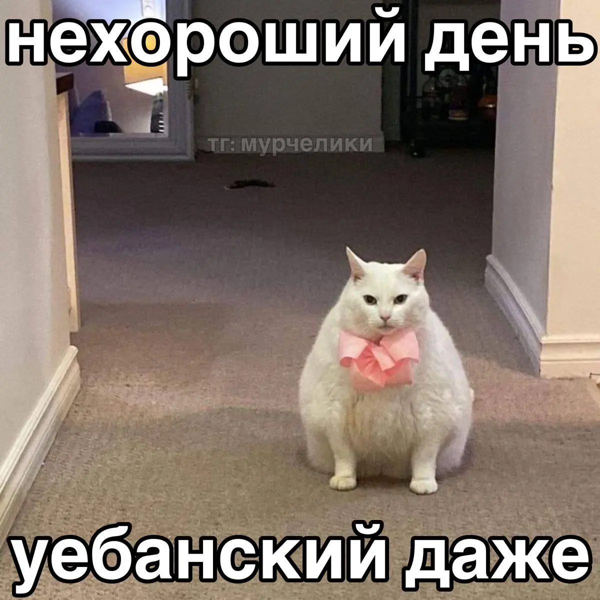 Переводим с корпоративного на токсичный
#мемы
«Доброго дня!»
«Какая интересная инициатива!»
«Спасибо за инфо»
«Спасибо, за звонок, коллеги»
«На данный момент я без доступа к корпоративной почте…»
«Хор... | Сетка — социальная сеть от hh.ru