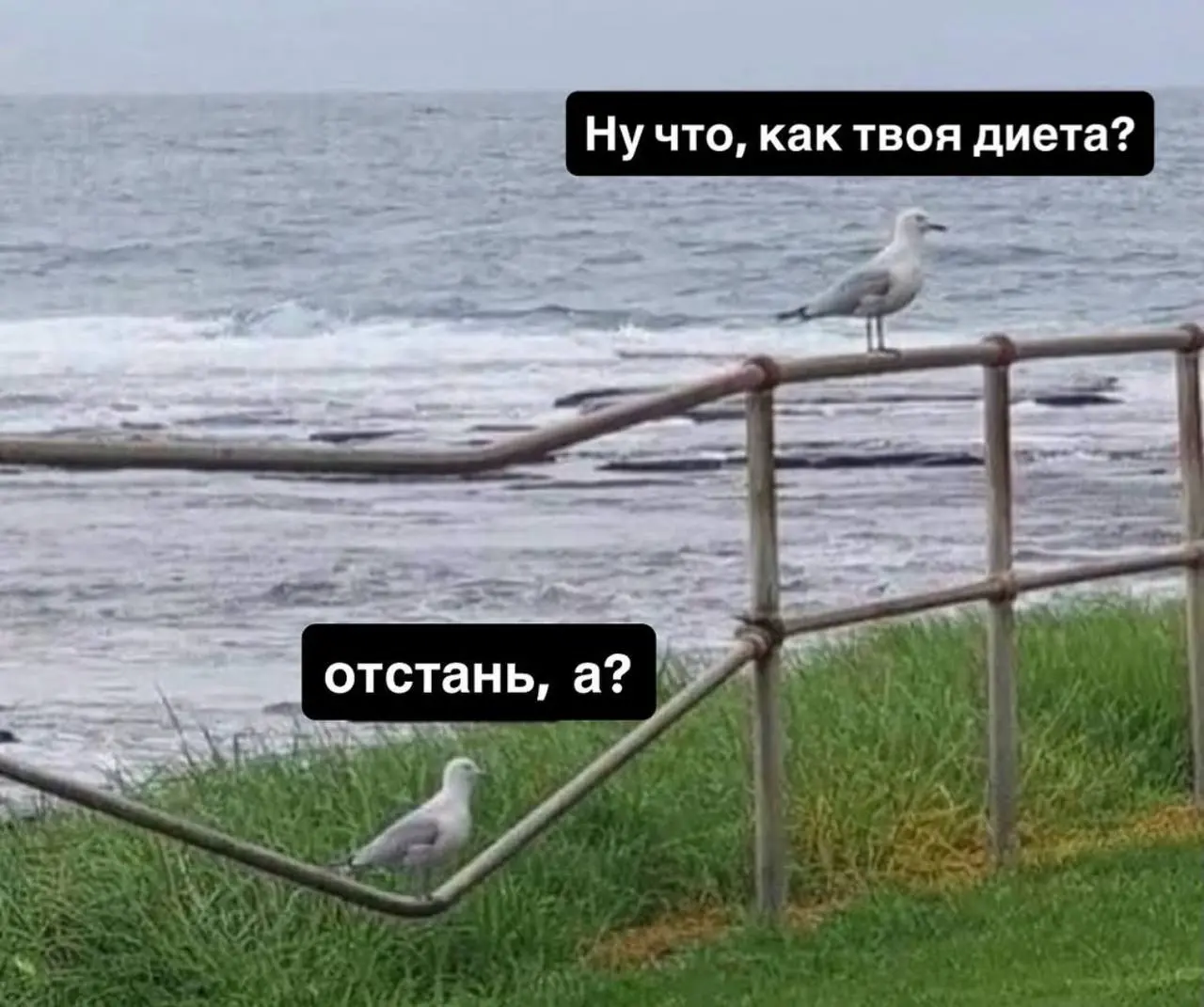#пятничное
Последний месяц зимы. Держимся.
Всех с пятницей | Сетка — социальная сеть от hh.ru