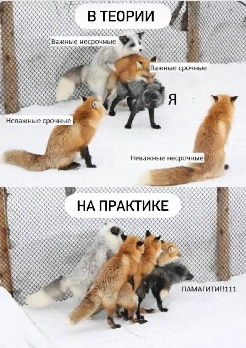 Басня о теоретиках 😀
Я знаю, вы любите мемы больше, чем продуктовые истории. | Сетка — социальная сеть от hh.ru
