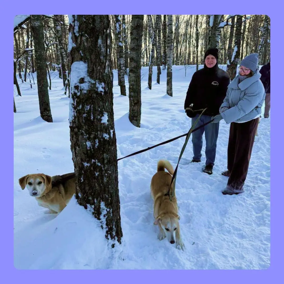 Про тех, кто ждёт, и обязательно дождётся 🐶❤️‍🩹 | Сетка — социальная сеть от hh.ru