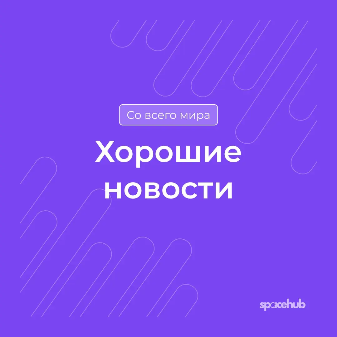 Труженики! 🐝
Время хороших новостей ❤️
Принесли вам в пятницу немного добрых, хороших событий со всего мира! | Сетка — социальная сеть от hh.ru