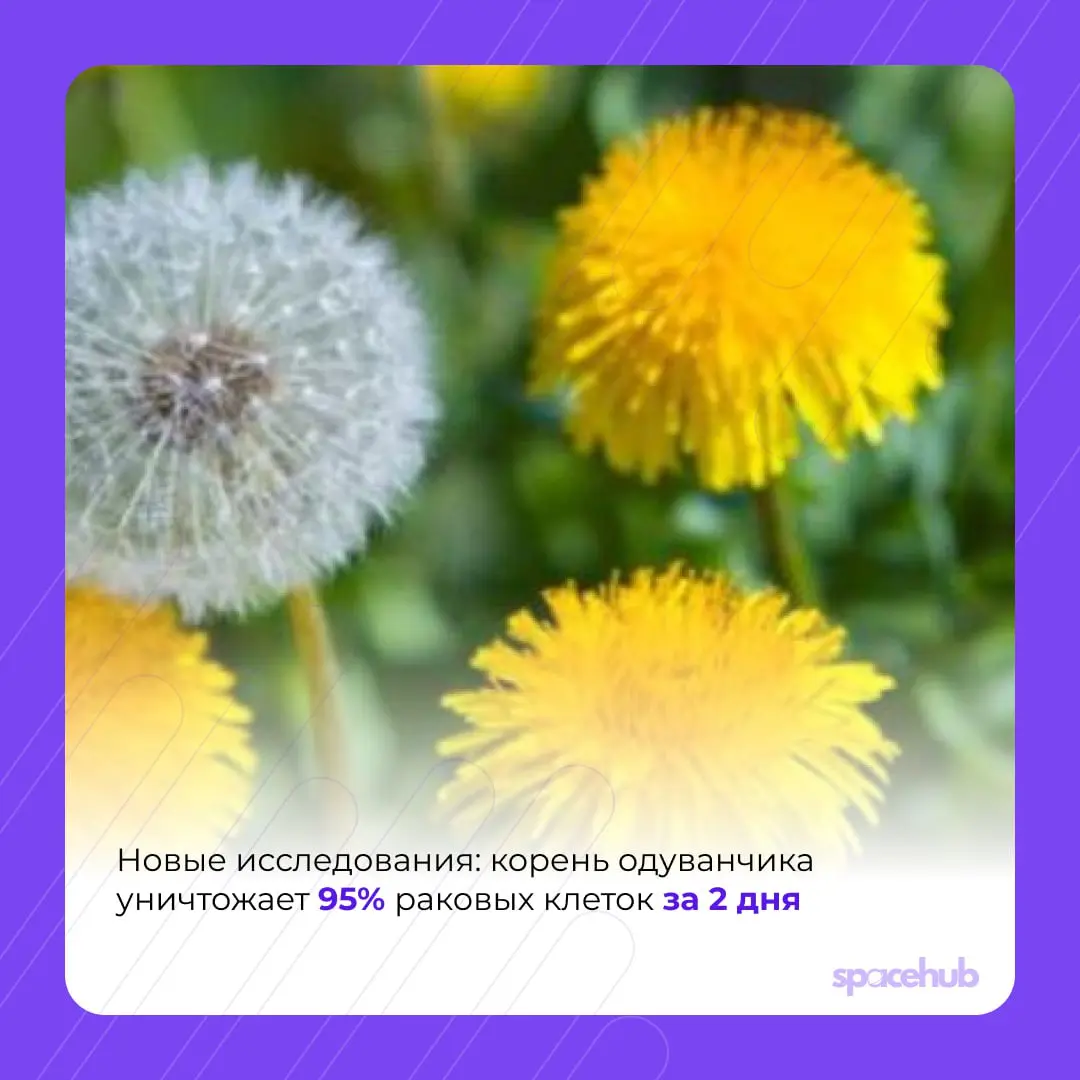 Труженики! 🐝
Время хороших новостей ❤️
Принесли вам в пятницу немного добрых, хороших событий со всего мира! | Сетка — социальная сеть от hh.ru