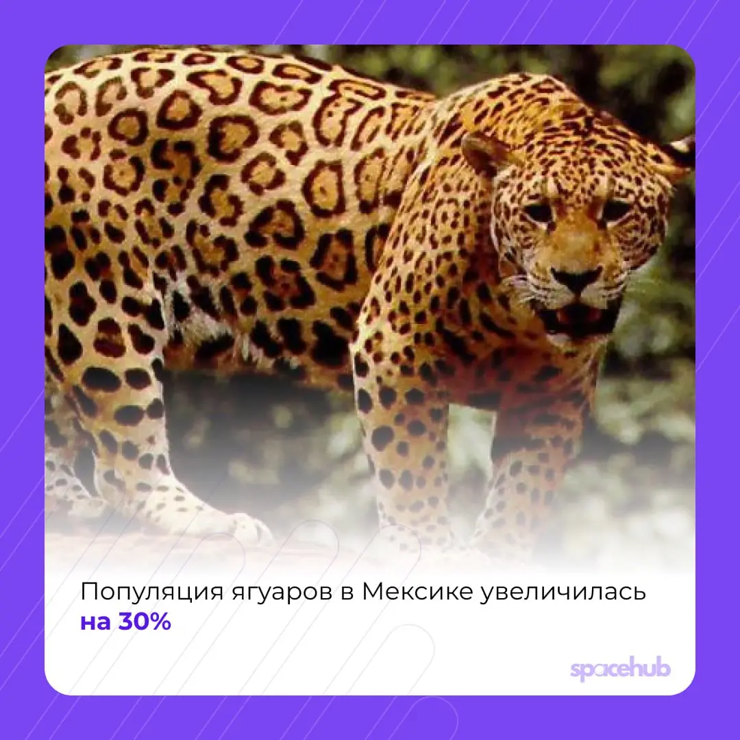 Труженики! 🐝
Время хороших новостей ❤️
Принесли вам в пятницу немного добрых, хороших событий со всего мира! | Сетка — социальная сеть от hh.ru