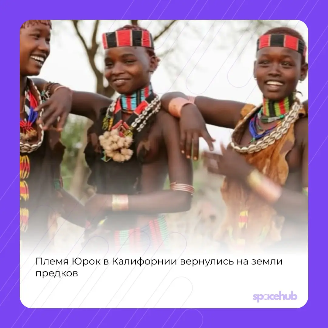 Труженики! 🐝
Время хороших новостей ❤️
Принесли вам в пятницу немного добрых, хороших событий со всего мира! | Сетка — социальная сеть от hh.ru