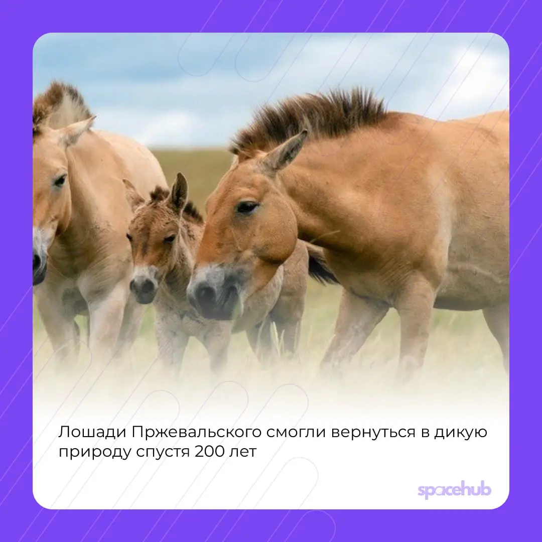 Труженики! 🐝
Время хороших новостей ❤️
Принесли вам в пятницу немного добрых, хороших событий со всего мира! | Сетка — социальная сеть от hh.ru