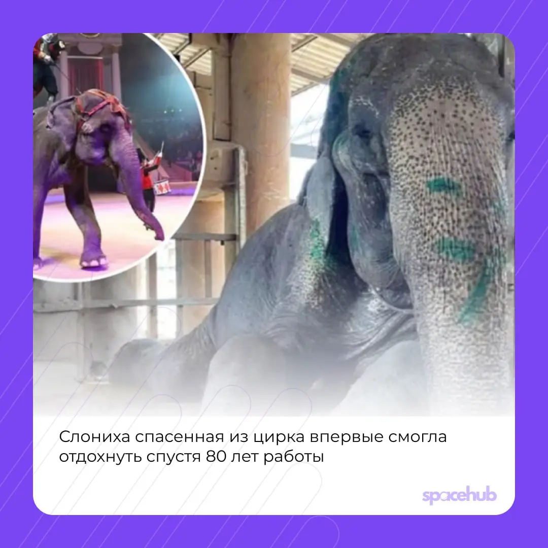 Труженики! 🐝
Время хороших новостей ❤️
Принесли вам в пятницу немного добрых, хороших событий со всего мира! | Сетка — социальная сеть от hh.ru