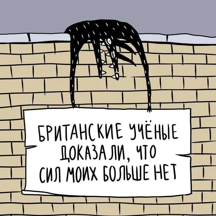 А ты точно знаешь разницу между ИИ и поисковиком?
За последние 2 недели, 5 человек сказали мне одно и то же.
"Роман, пользуюсь и кайфую от Perplexity. Топовый ИИ.»
После третьего раза я задумался | Сетка — социальная сеть от hh.ru