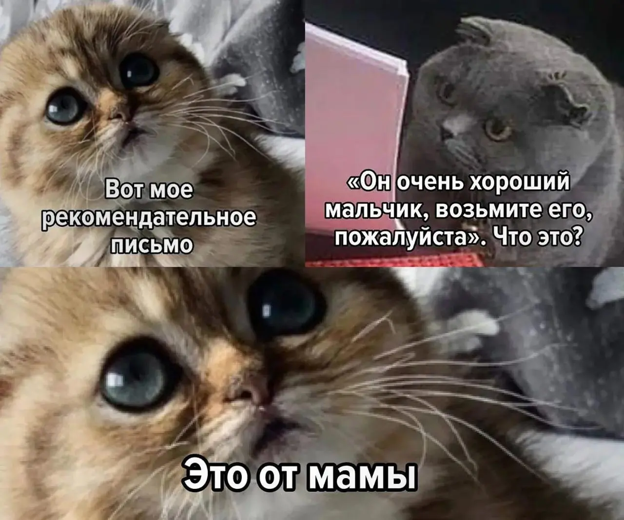 Шестая неделя: Искусство Охоты 🏹
Мы закончили с «хирургией». Всю прошлую неделю мы вычищали мусор из ваших резюме, лечили позиционирование и собирали Артефакты, за которые реально борются компании | Сетка — социальная сеть от hh.ru