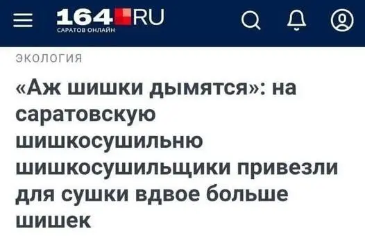 хоть в шишкосушильне все в порядке | Сетка — социальная сеть от hh.ru