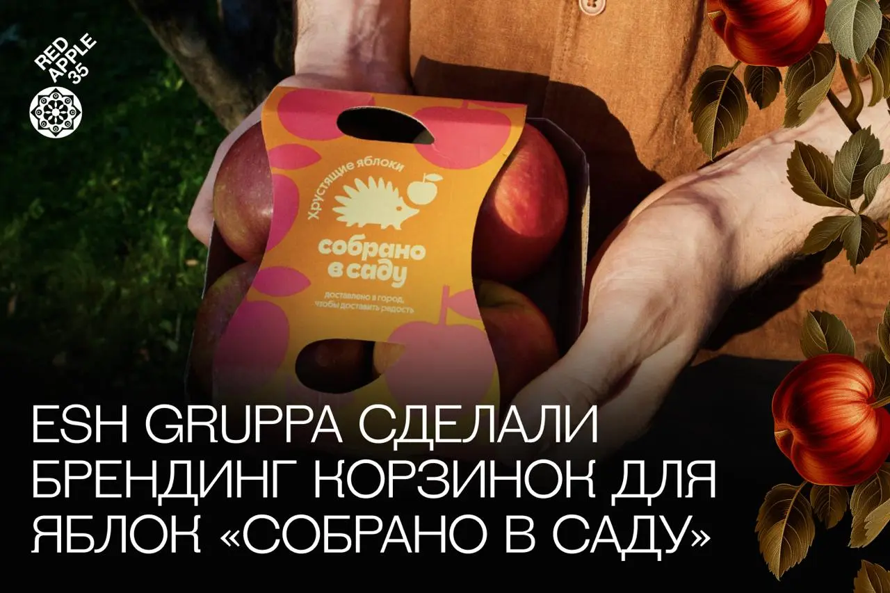 Сад свежих кейсов уже расцвёл ❤️
В рубрике #ЧтоУНасВСаду собрали для вас сочные находки за последнюю неделю | Сетка — социальная сеть от hh.ru