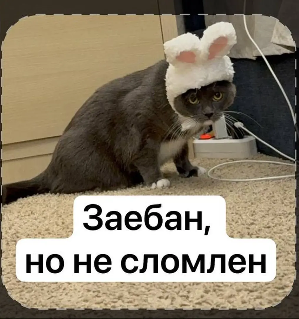 Давайте сегодня сделаем вместо полезных умных постов вечер мемов(да, я украла тему у своего дизайн-канала магнита и что вы мне сделаете я в другом городе)😈
Нет сил, к сожалению, на какие-то умные мысл... | Сетка — социальная сеть от hh.ru