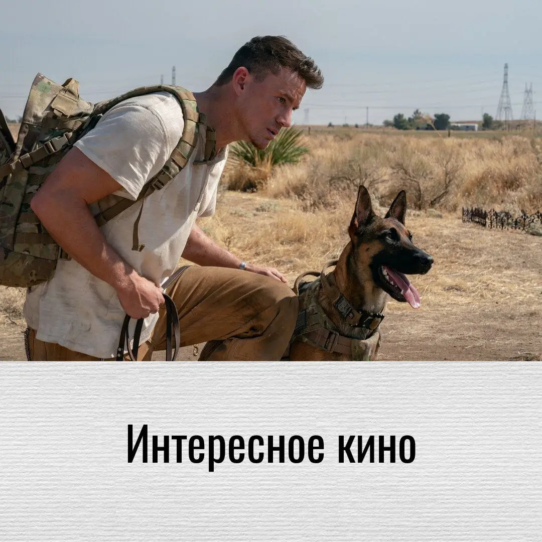 Кинотеатр «Бережки» открывает свои двери. Выходные же впереди.
Хочу предложить вам два фильма.
«Лулу и Бриггс»
Отношения человека и животного чаще всего - трогательная история | Сетка — социальная сеть от hh.ru