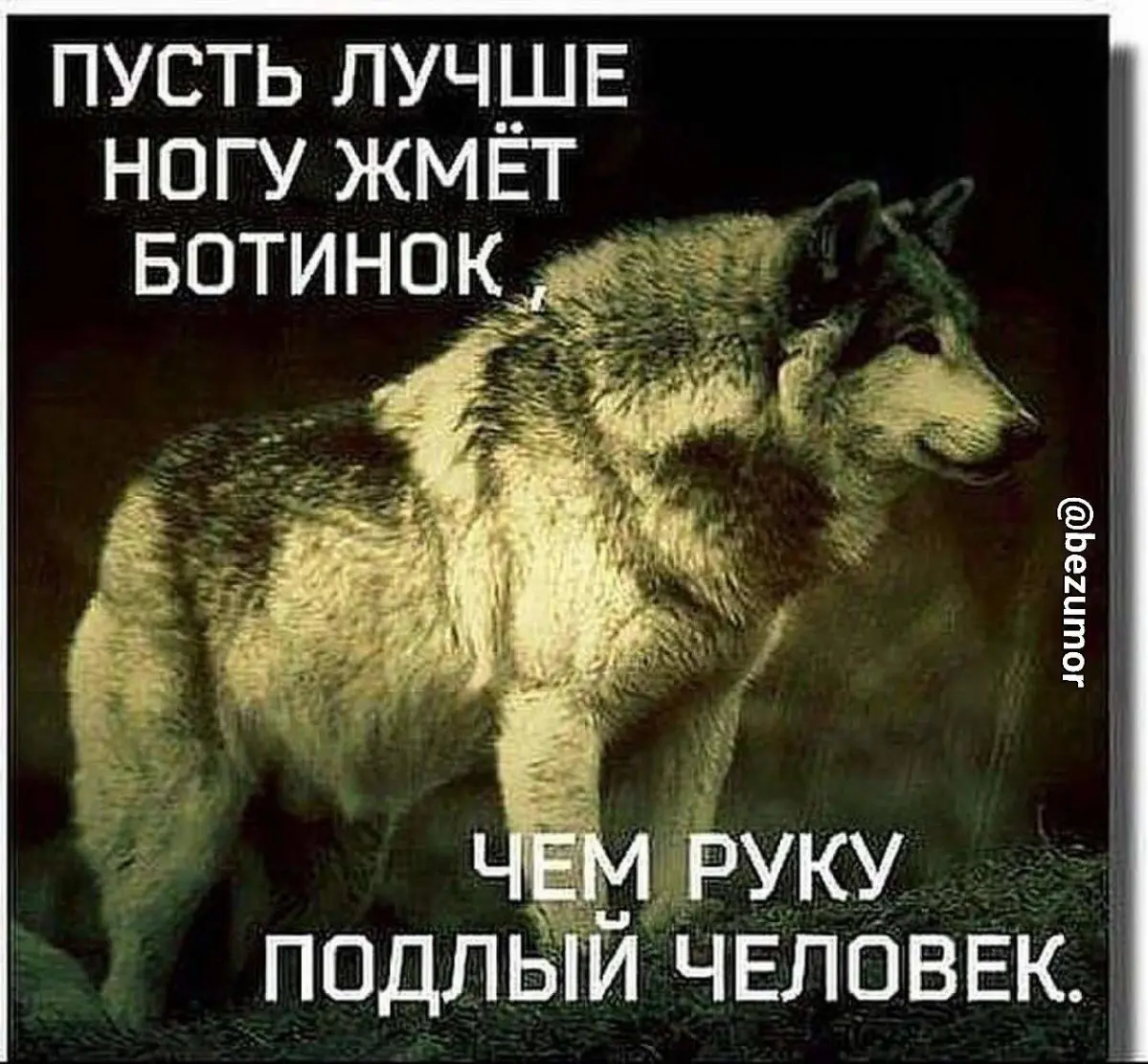 Королевство кривых зеркал или в поисках больших денег | Сетка — социальная сеть от hh.ru
