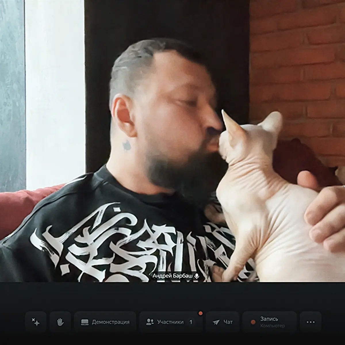 Субботний зум с котёнком Бобиком | Сетка — социальная сеть от hh.ru