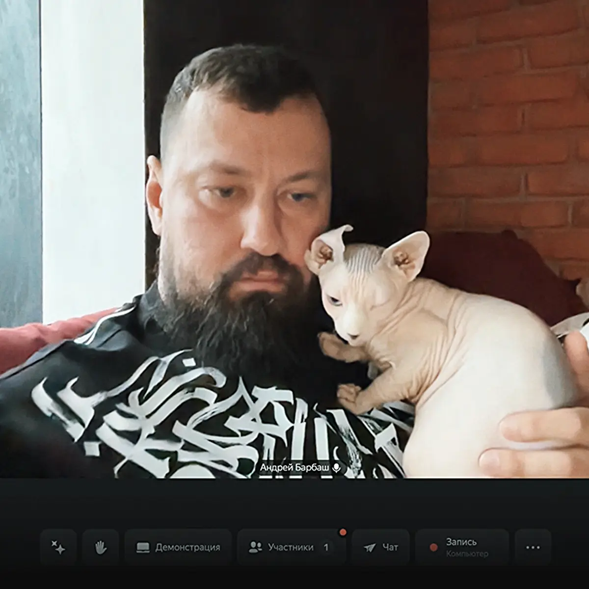 Субботний зум с котёнком Бобиком | Сетка — социальная сеть от hh.ru