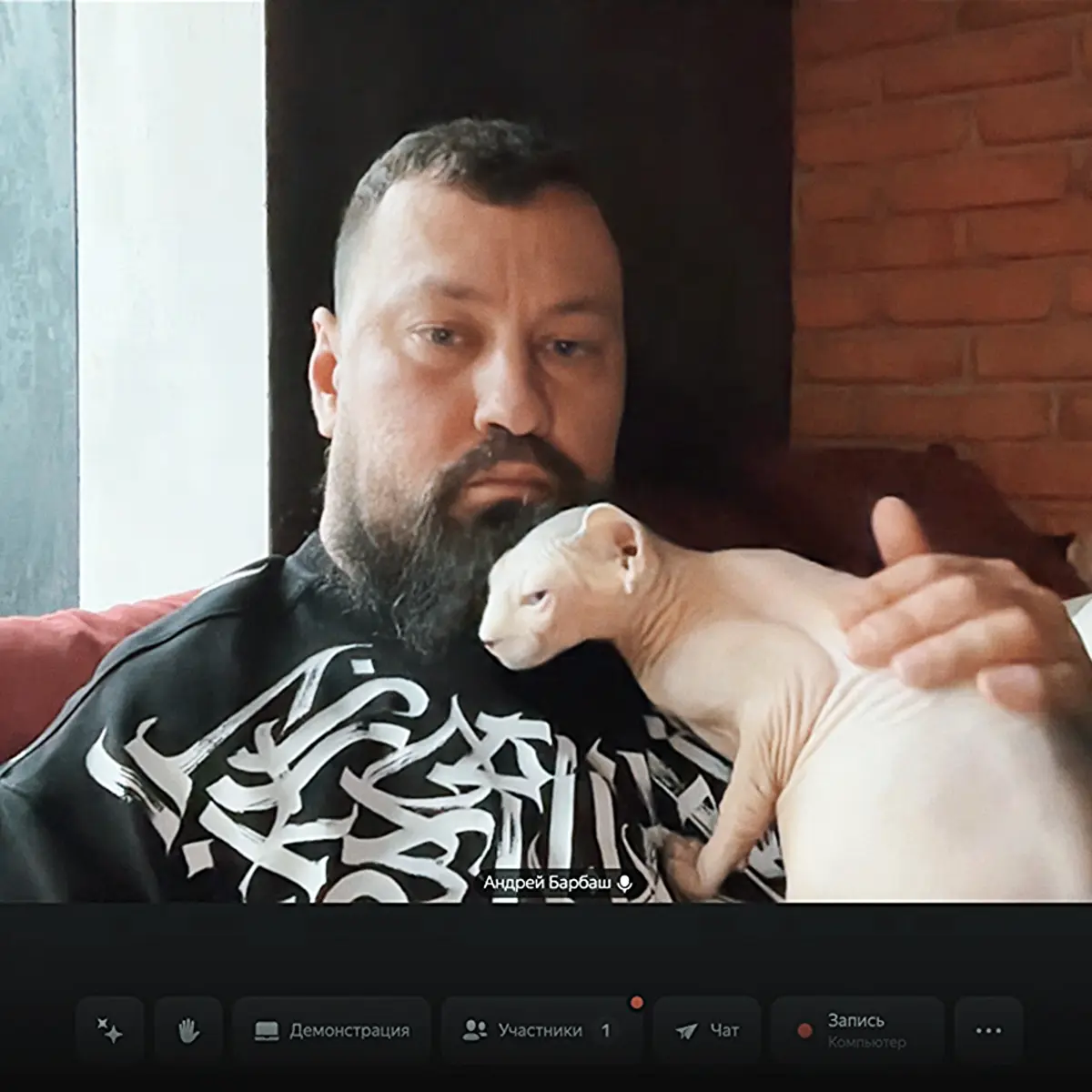 Субботний зум с котёнком Бобиком | Сетка — социальная сеть от hh.ru