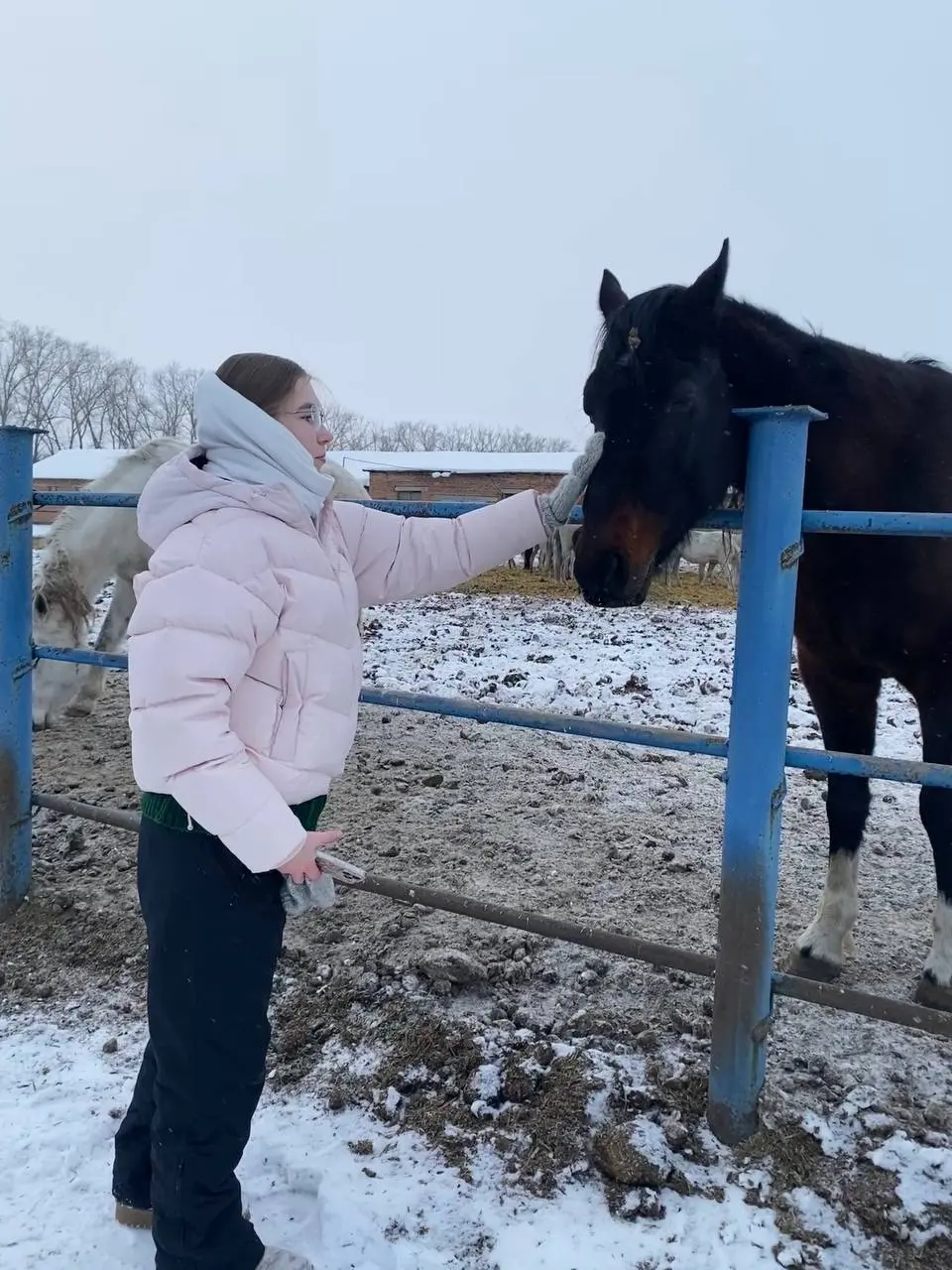 После недели безвылазно за ноутбуком стараемся придумывать возможные активности на природе!
Сегодня под прицел попал Шадринский конезавод 🐎 | Сетка — социальная сеть от hh.ru