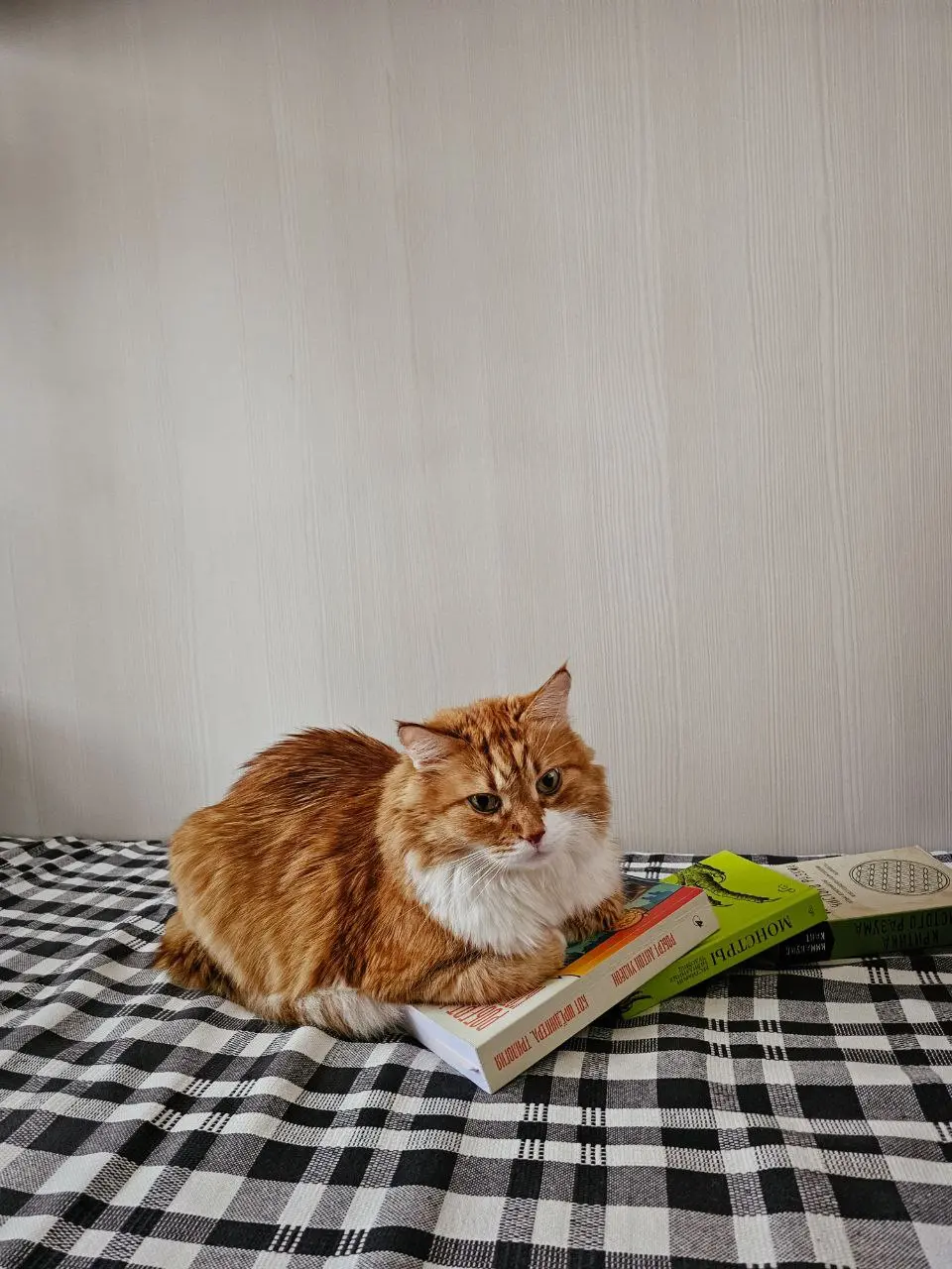 Это я пытаюсь сделать обзор на книгу на выходных) | Сетка — социальная сеть от hh.ru