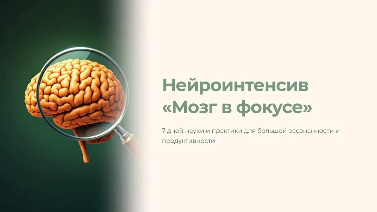 🚑 Для всех, кто стрессует чаще, чем наслаждается жизнью | Сетка — социальная сеть от hh.ru